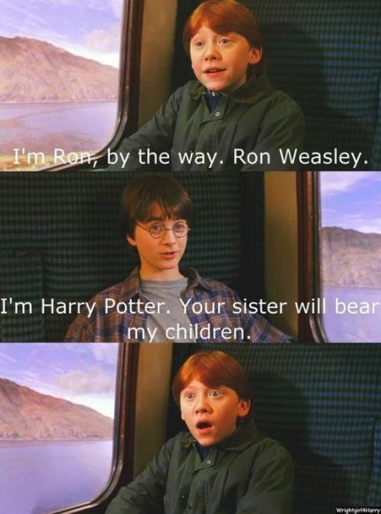 Harry And Ron